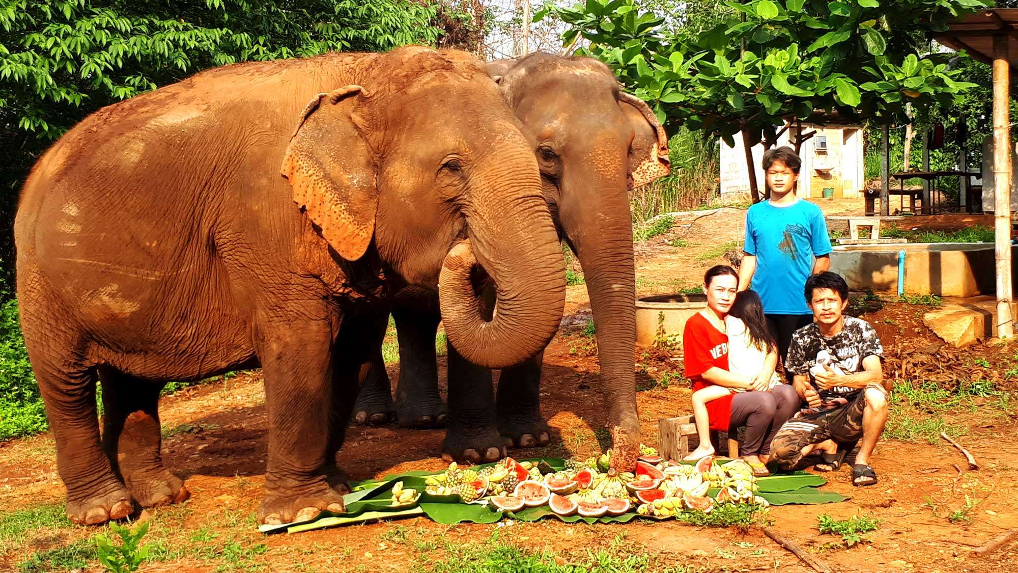 2 Elephants, 4 people (Eddy and his family)