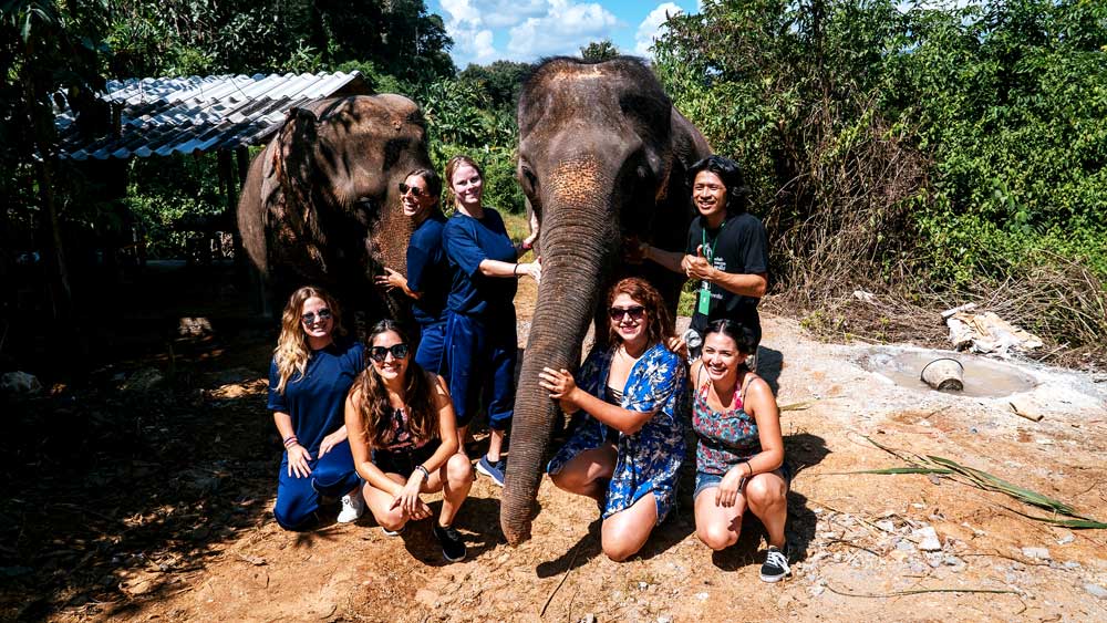 Group photo with Eddy, visitors and an elephant.