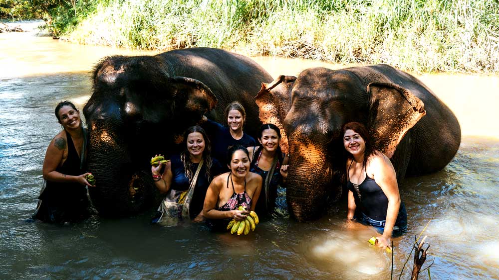 Group photo of visitors of the park standing in the river with two elephants.