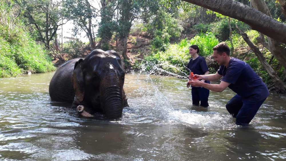 Two visitors splash water on an elephant in the river.