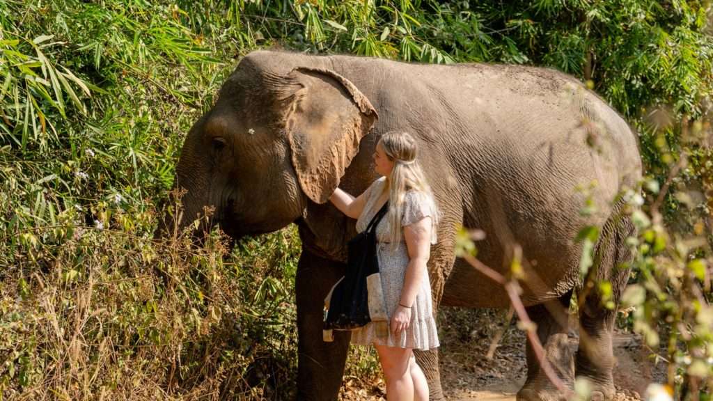 A woman with an eating elephant.